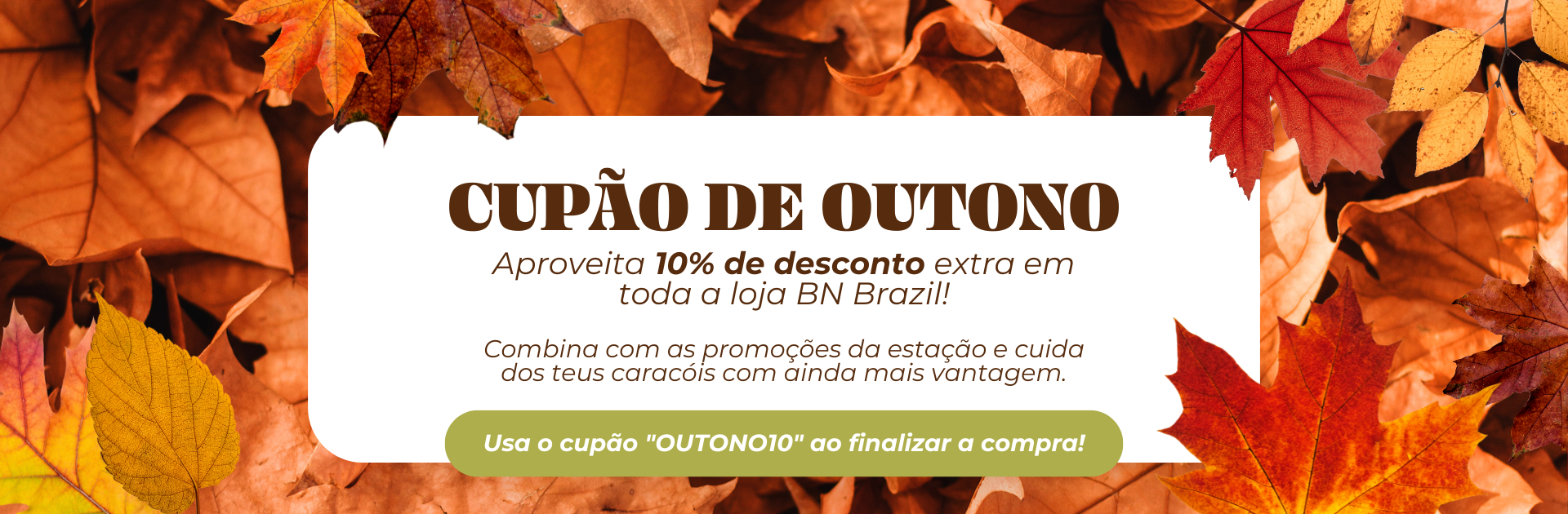 bnbrazil