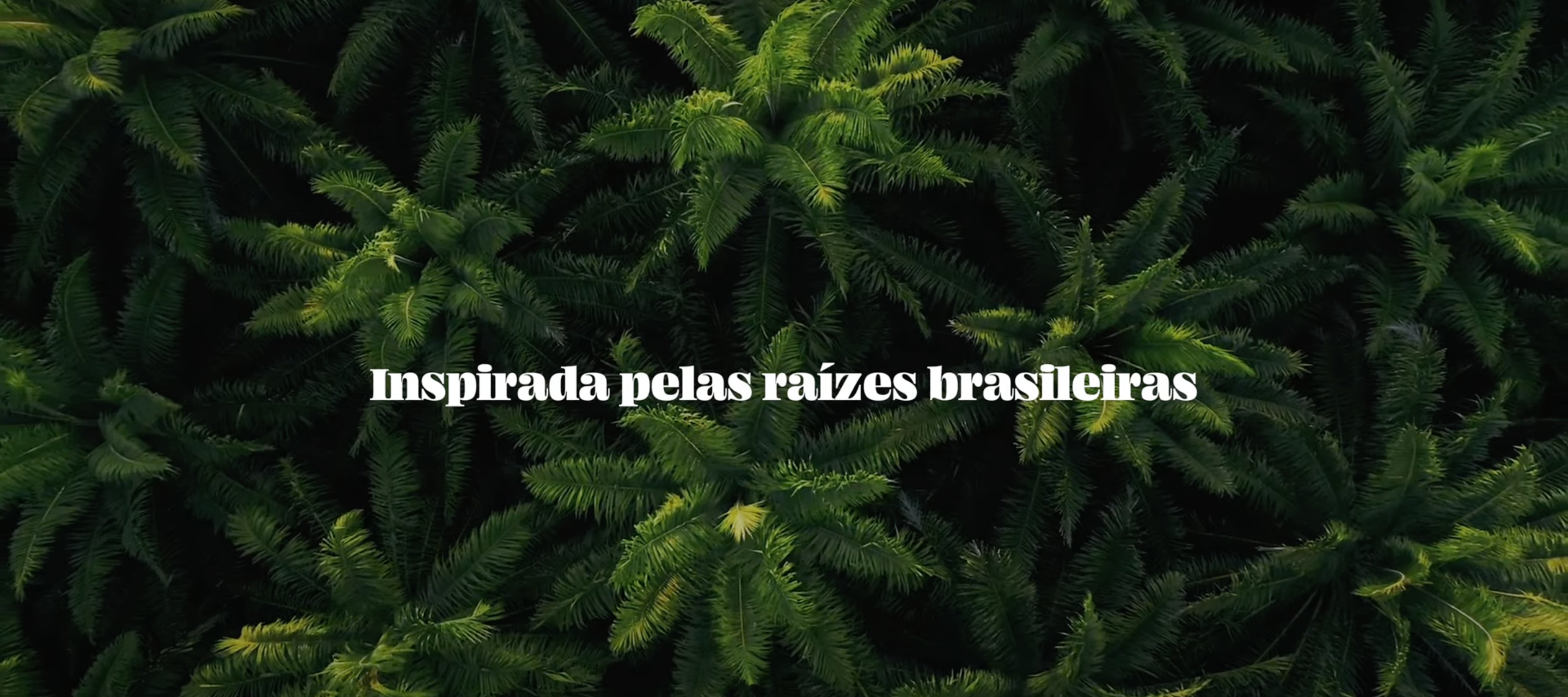 bnbrazil
